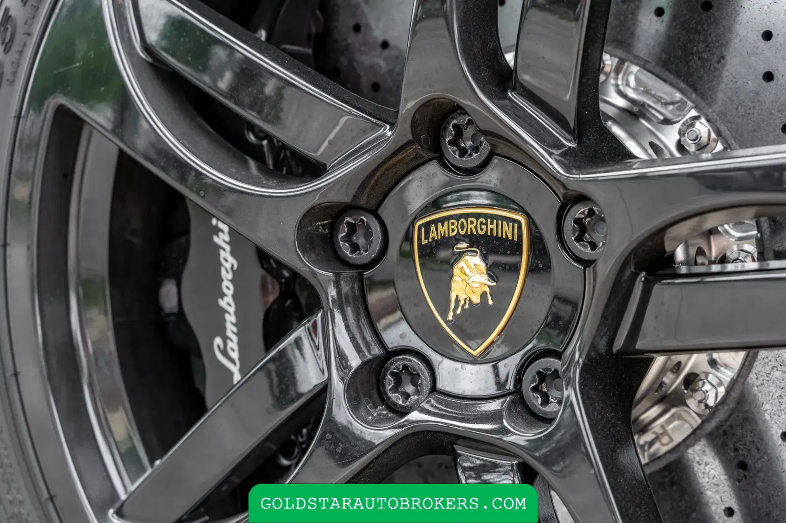 7k-Mile 2007 Lamborghini Murcielago LP640 Versace Edition